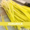 Sladučká kukurica mikrozelenina semená 80g