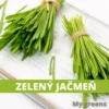 Zelený jačmeň semená 50g